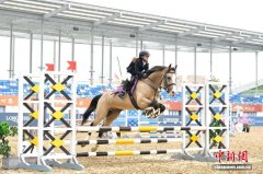 2026年长三角马术联赛桐庐站开赛