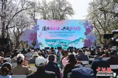 一树梨花映黄河：南长滩的二十载“花事”蝶变