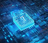 万鸟翔集丹东鸭绿江口